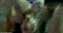 0af16fc958eba3bbf1f98c9b7d56ef1f_02_thumb.jpg