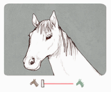 horse to dragon slider 1715822253659490