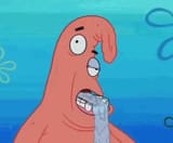 Herp Derp Herp