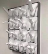 Penis Thread