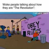 woke bs that they&#039;re the revolution
