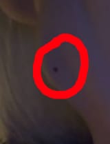 1735183537422408