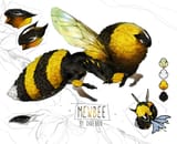 _closed__character_auction_mewbee__by_darenrin_djmijdp-pre