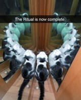 1705187395379928