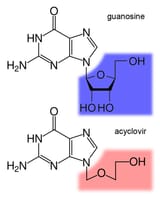 Guanosine-acyclovir-comparison