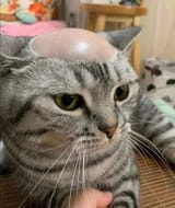 baldie