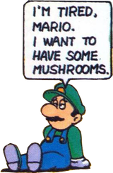 1622500131032
