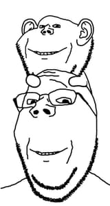 1743916705393015