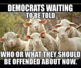 democrat sheep waiting to be told what to be offended about