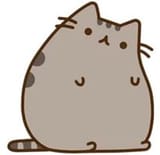 Sad Pusheen