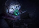 rainbow 6 thingy