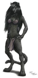 commission_cameo