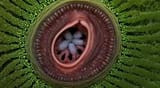 202507040055-1399122564.swarmpreview