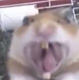 461006341_1327916211540004_3614182145889248345_n