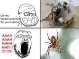 crabjak