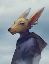1527202153.bonifasko_renamon