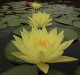 IMG_20250704_162100