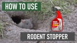 rat face extermination