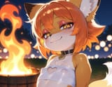 unknown