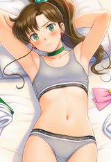 1girl, solo, hair bow, light skin, bow, Sailor Jupiter, brown hair, ponytail, lo s-3838431975