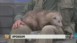 local news shaming me for some damn thing