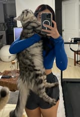 bigpuss
