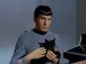 SpockKitteh_thumb.jpg