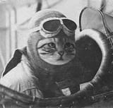kotpilot