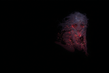 138661-3692337404-bloody murder by a girl_ADDBASE_charred skeleton_ADDCOL___Melia__, full body, (gleeful attack_1.5), nude loli