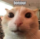 1748830804991475