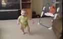 CAT.babysitter..........._thumb.jpg