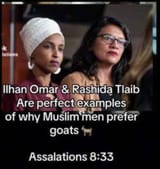 omar talib why muslim men prefer goats