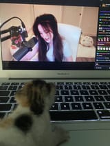 caaat