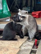 hug