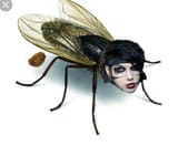 SHOO.FLY.PIE.log.....