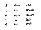 navajo code south