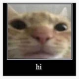 1745938728018807