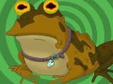 toad