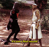 It&#039;sJustAFleshWound