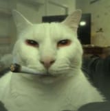 stoned.png