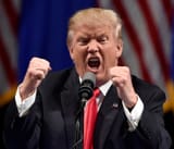 trump crazy