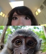 MONKEPOV