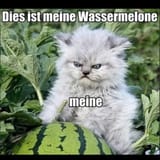 meine