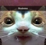 IMG_n2n4uv