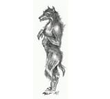 ccf8d6e7-8710-49ae-9996-3fc95af3fd2b-Dogmangodfrey_1