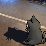 digital, cat, meme Untitled