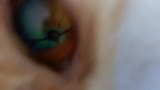 eye of the cheddar