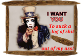 68163851481