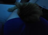 20250703_075023(1)(1)(1)
