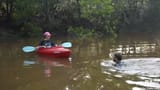 kayak